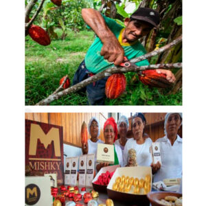 Chazuta – La Ruta del Cacao y Chocolate Orgánico